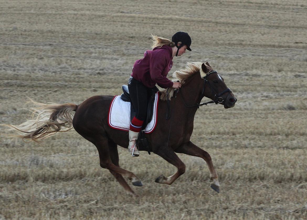 DSP Sunspot - Taget af Lindgreen Photography billede 8