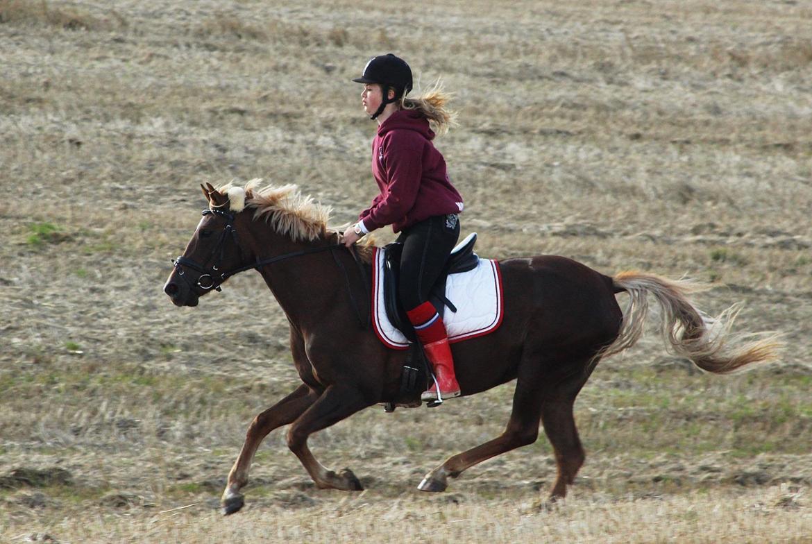 DSP Sunspot - Taget af Lindgreen Photography billede 44