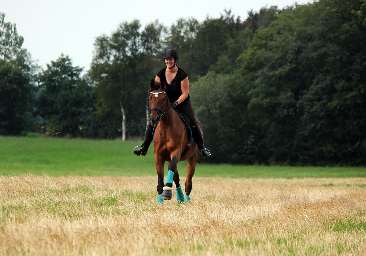 Anden særlig race Dalvangs Casper - Ræs på stubmarken :) billede 44