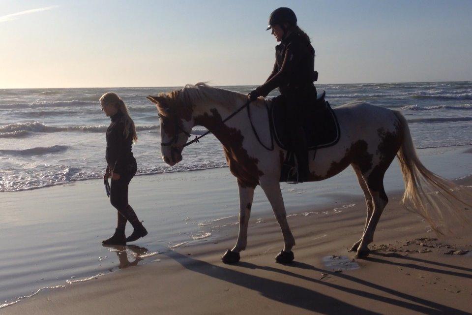 Anden særlig race Rugholms Bella  - Sommerferie 2015 billede 20