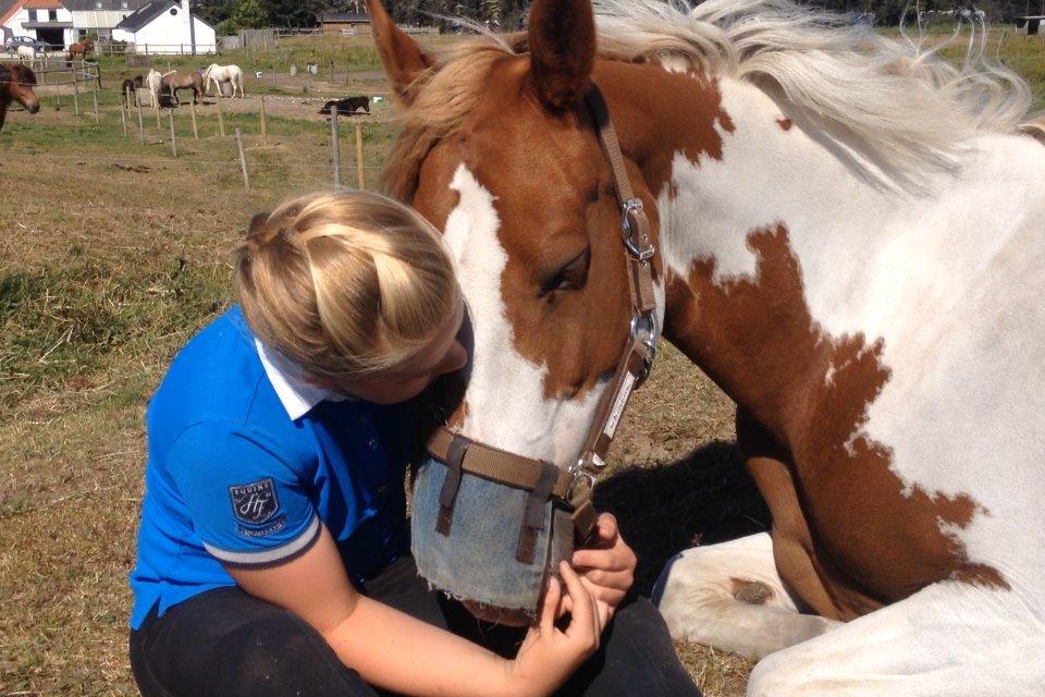 Anden særlig race Rugholms Bella  - Sommerferie 2015 billede 11