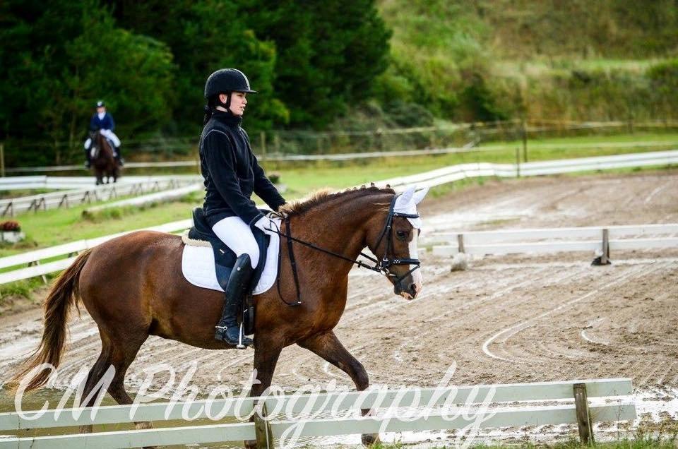 Anden særlig race Hanna Montana billede 9