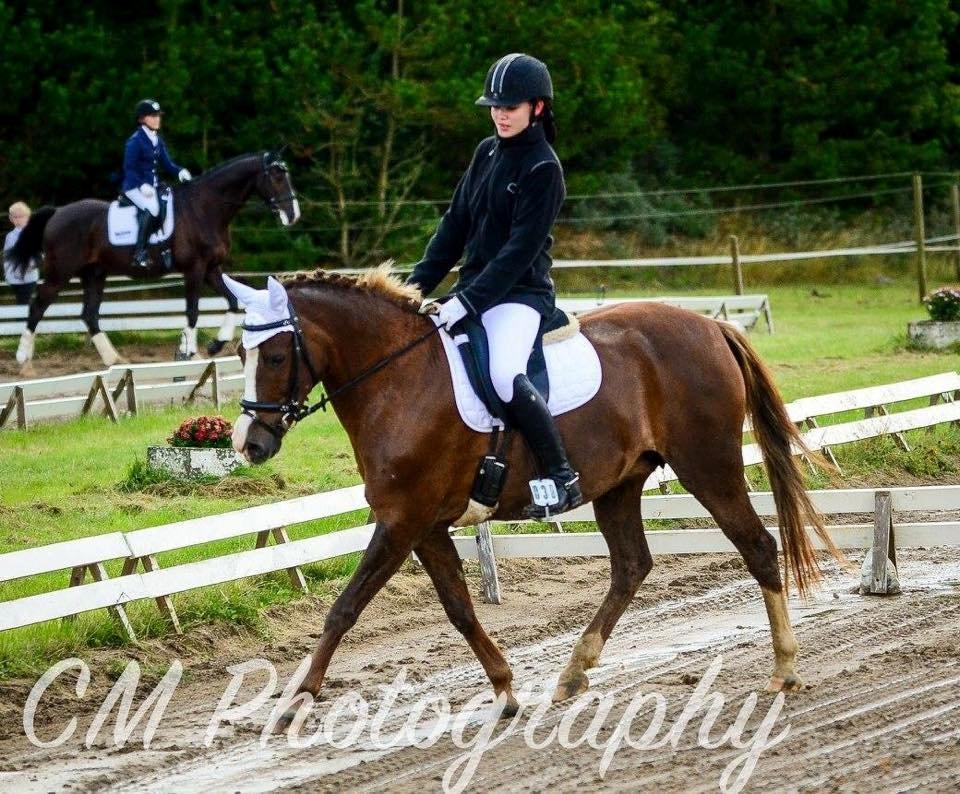 Anden særlig race Hanna Montana billede 10