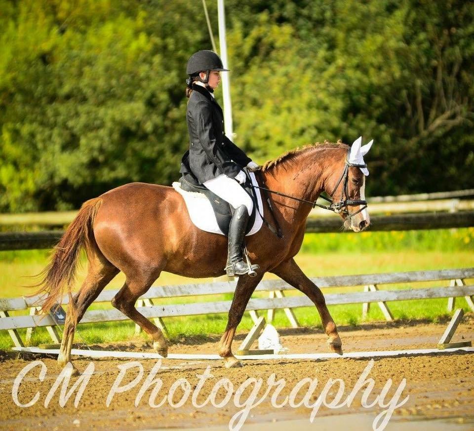 Anden særlig race Hanna Montana billede 8