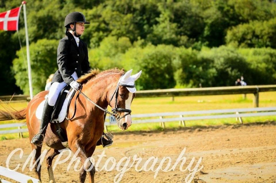 Anden særlig race Hanna Montana billede 11