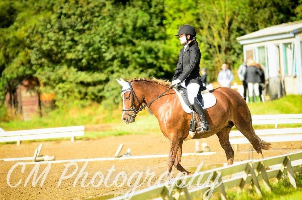 Anden særlig race Hanna Montana billede 12