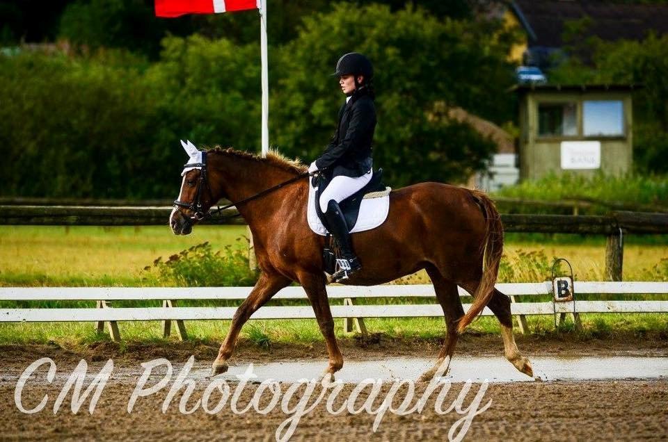 Anden særlig race Hanna Montana billede 13