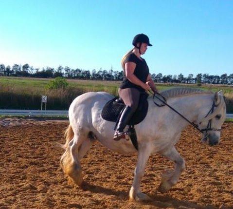 Irish Cob Wanda van Hippolacta - 7/9-15 2. undervisning ved Betina, og der er allerede forbedring fra sidst! :D billede 18