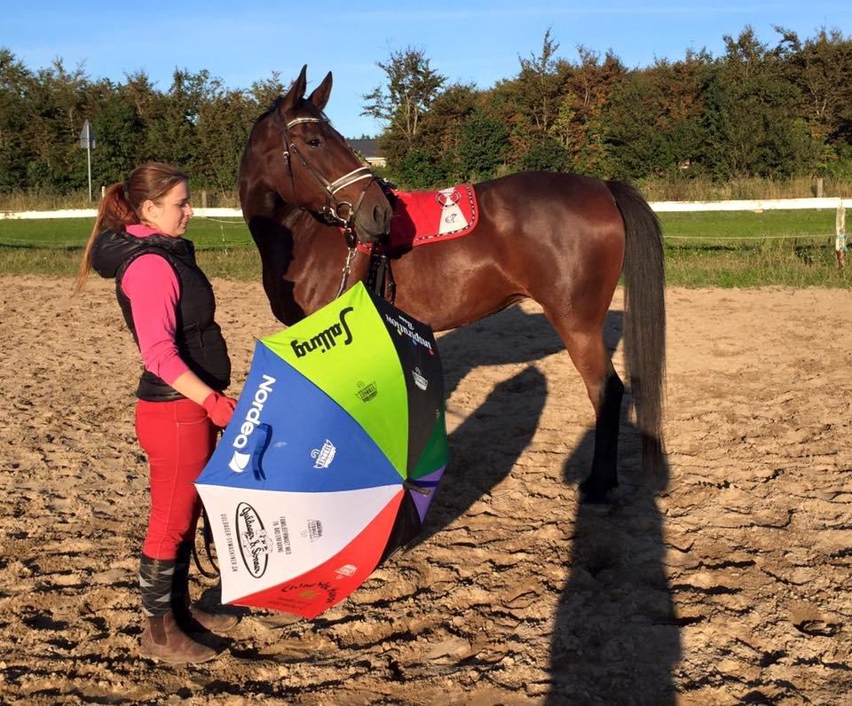 Traver Donna (prima Donna) billede 27