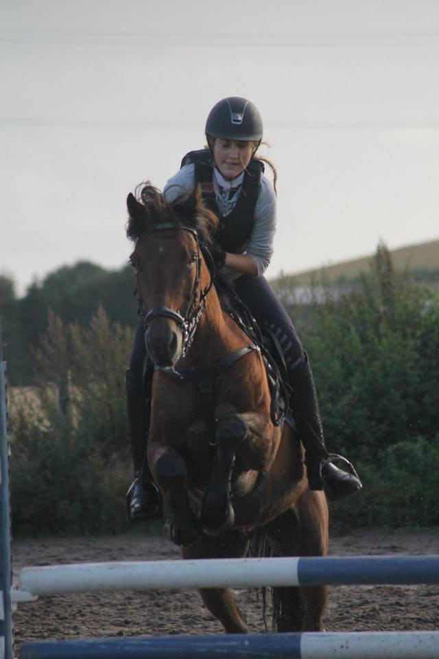 Anden særlig race Michelangelo B-pony - Første træning i 2 mdr billede 27