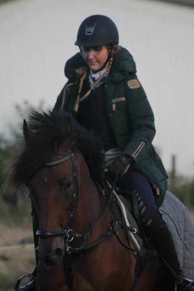 Anden særlig race Michelangelo B-pony - <3 billede 37