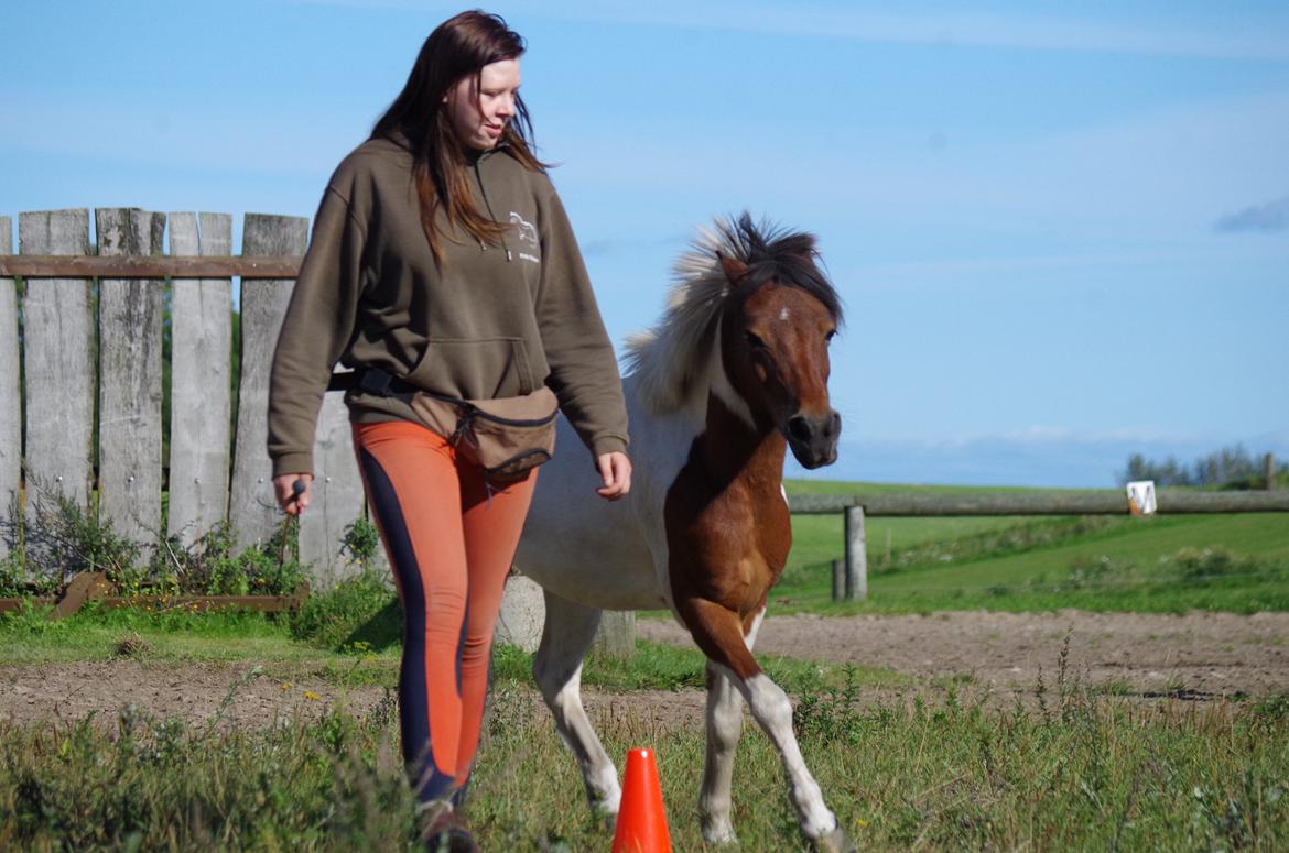 Anden særlig race Lucky Luke  - Han mestrer allerede liberty <3 billede 18