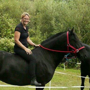 Minorquin Ailia Ranolia billede 1