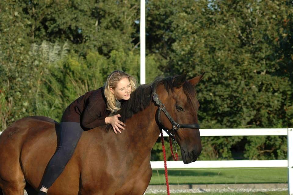 Anden særlig race Curraloe Queen billede 2