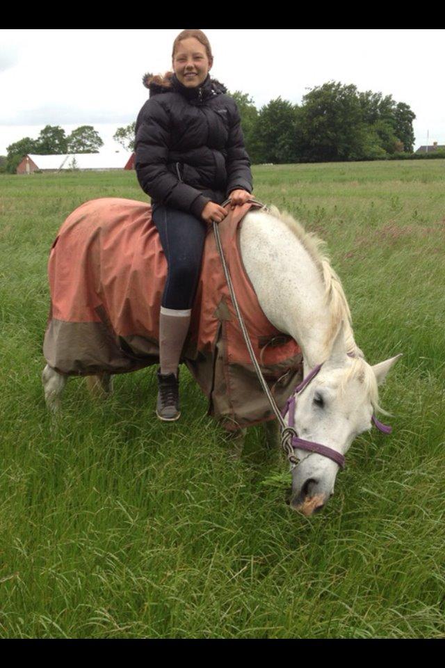 Anden særlig race Søvinds Silvermoon  SOLGT billede 27