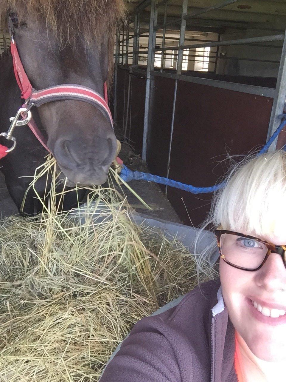 Islænder Gletta fra Puglund  billede 23