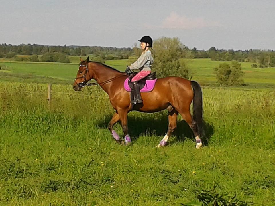 Tysk Sportspony Burghof´s voyager - første ridetur sammen billede 8