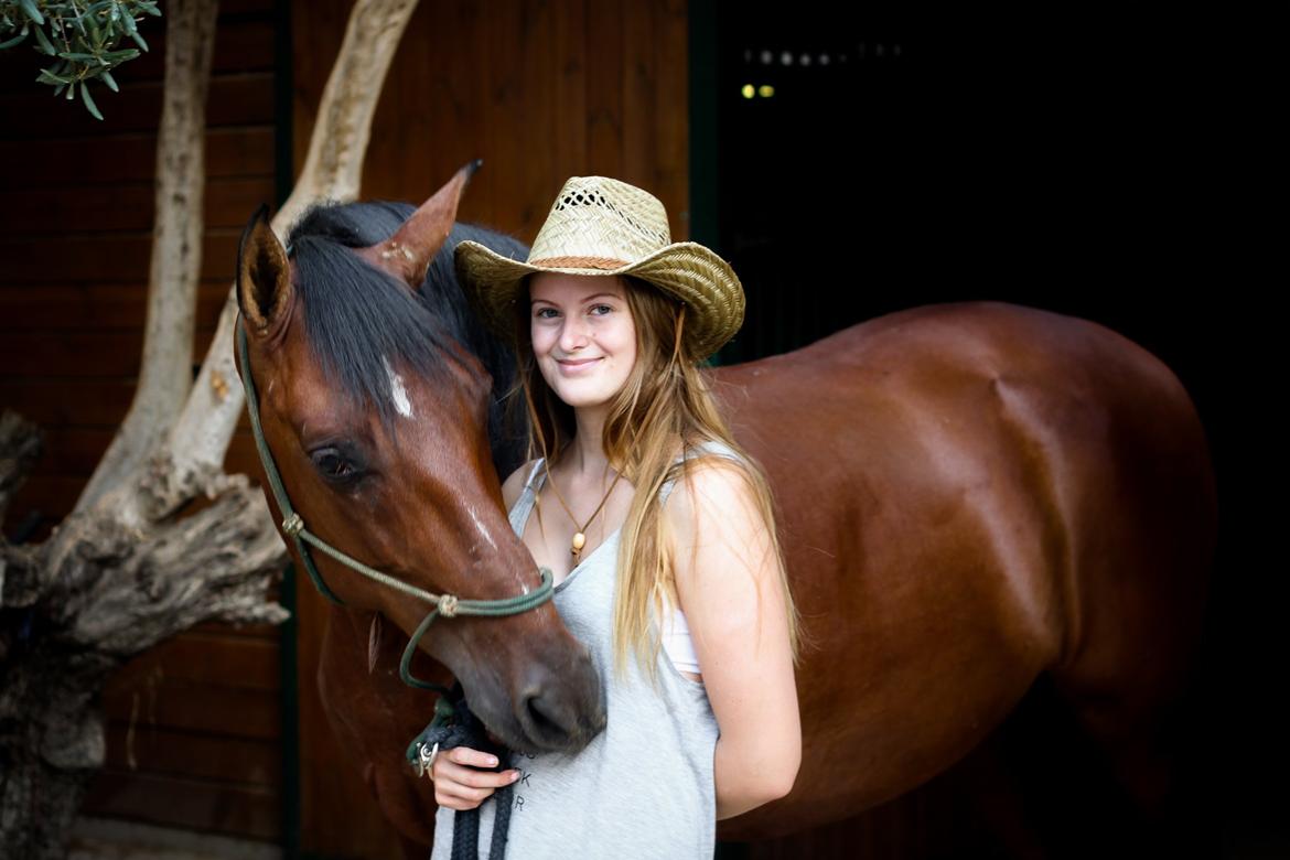 Pura Raza Española Cody (Lagartijo XXXVI) billede 1