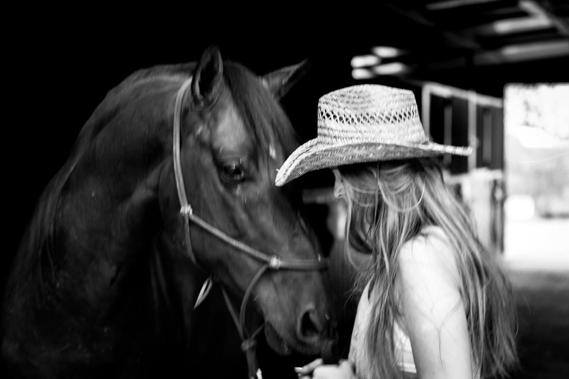 Pura Raza Española Cody (Lagartijo XXXVI) billede 9