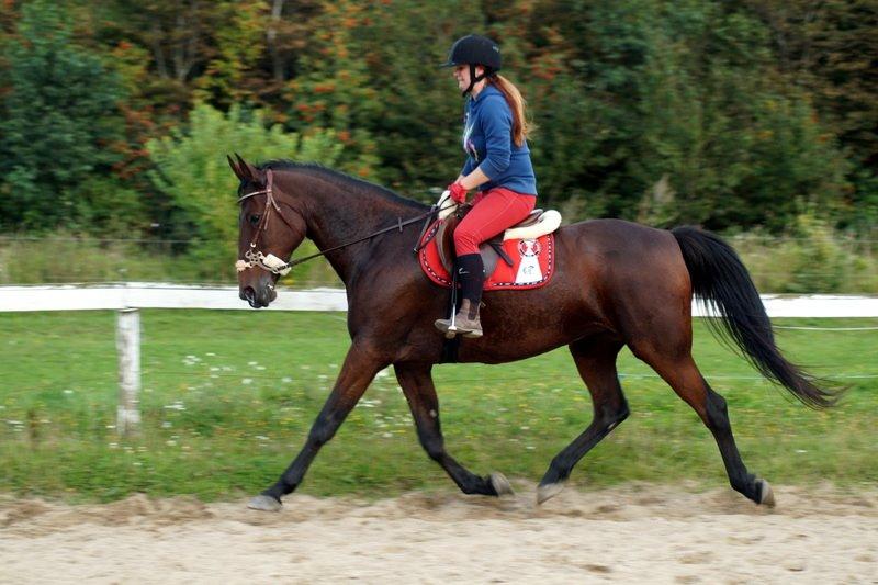 Traver Donna (prima Donna) billede 47