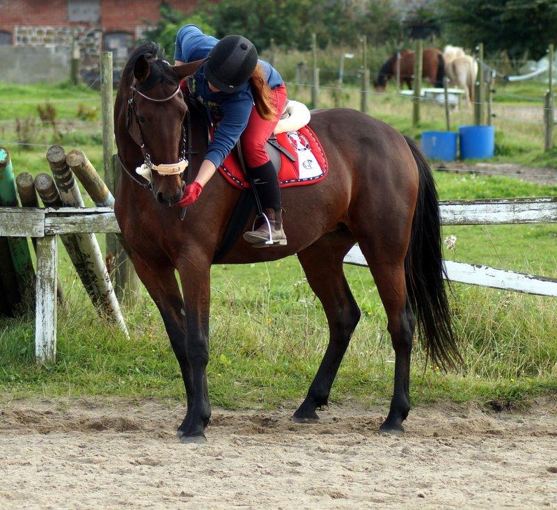 Traver Donna (prima Donna) billede 46