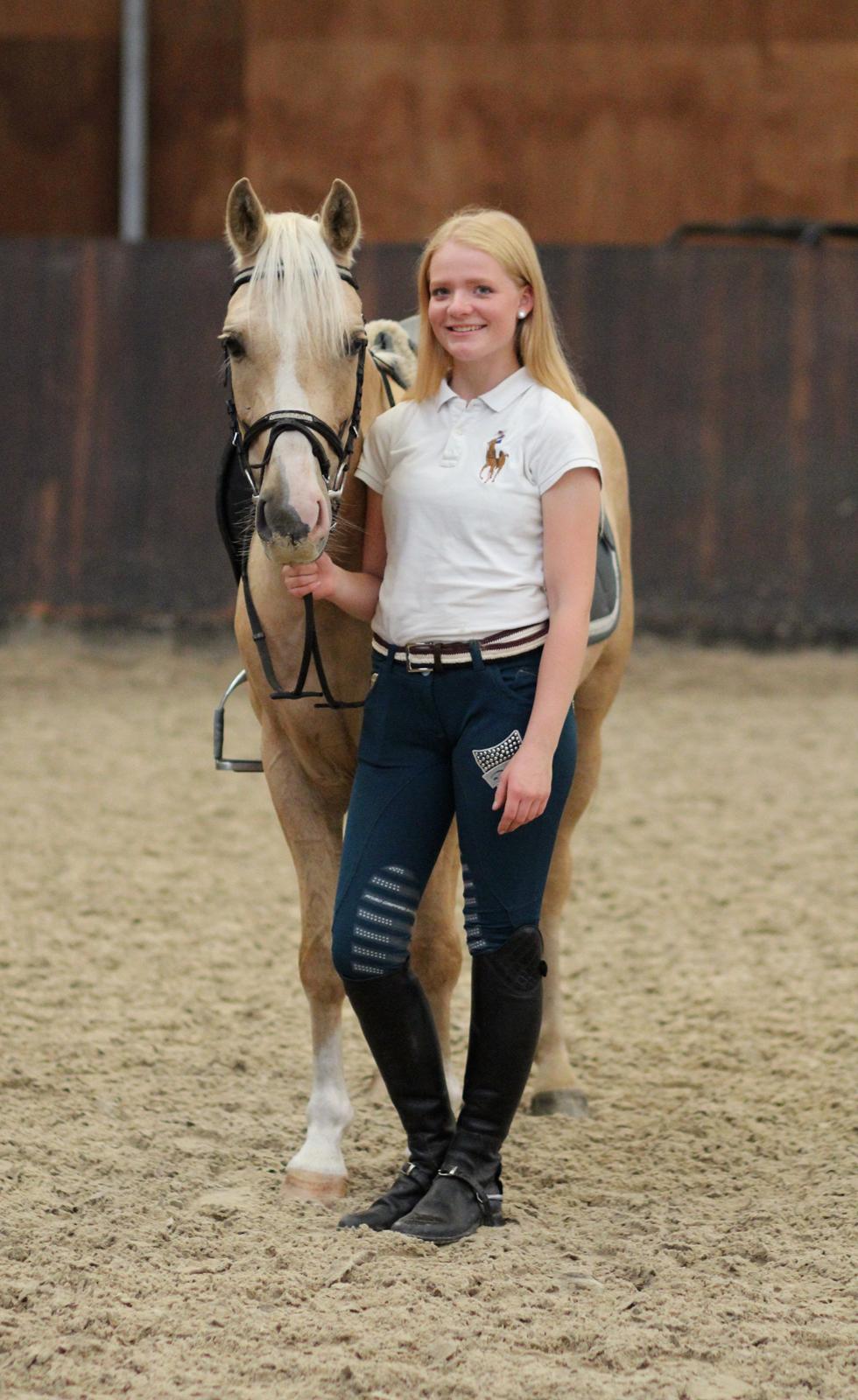 Palomino Asterix billede 17