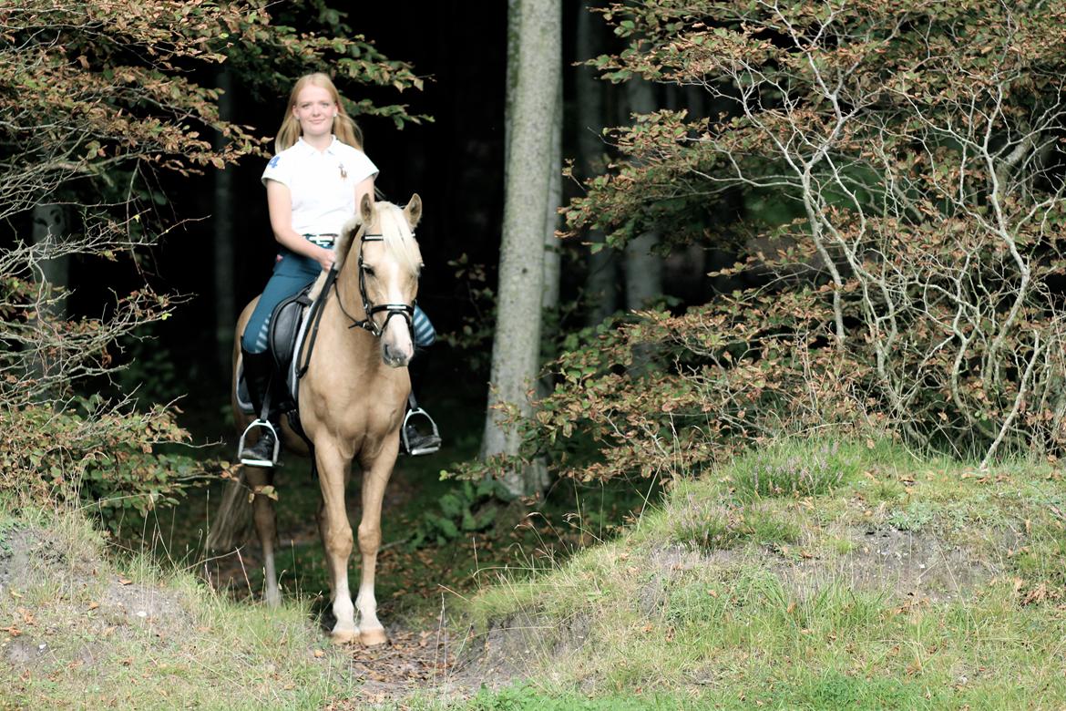 Palomino Asterix - „If there ever comes a day, when we can't be together, keep me in the heart, i'll stay there forever“ billede 22