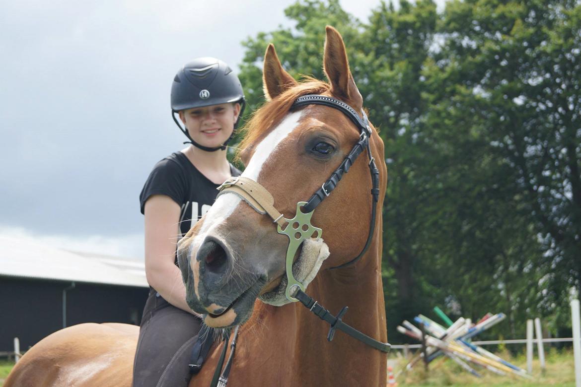 DSP Lintrupgaards spirit - ,,De største forhindringer for succes er utålmodighed og grådighed." billede 5