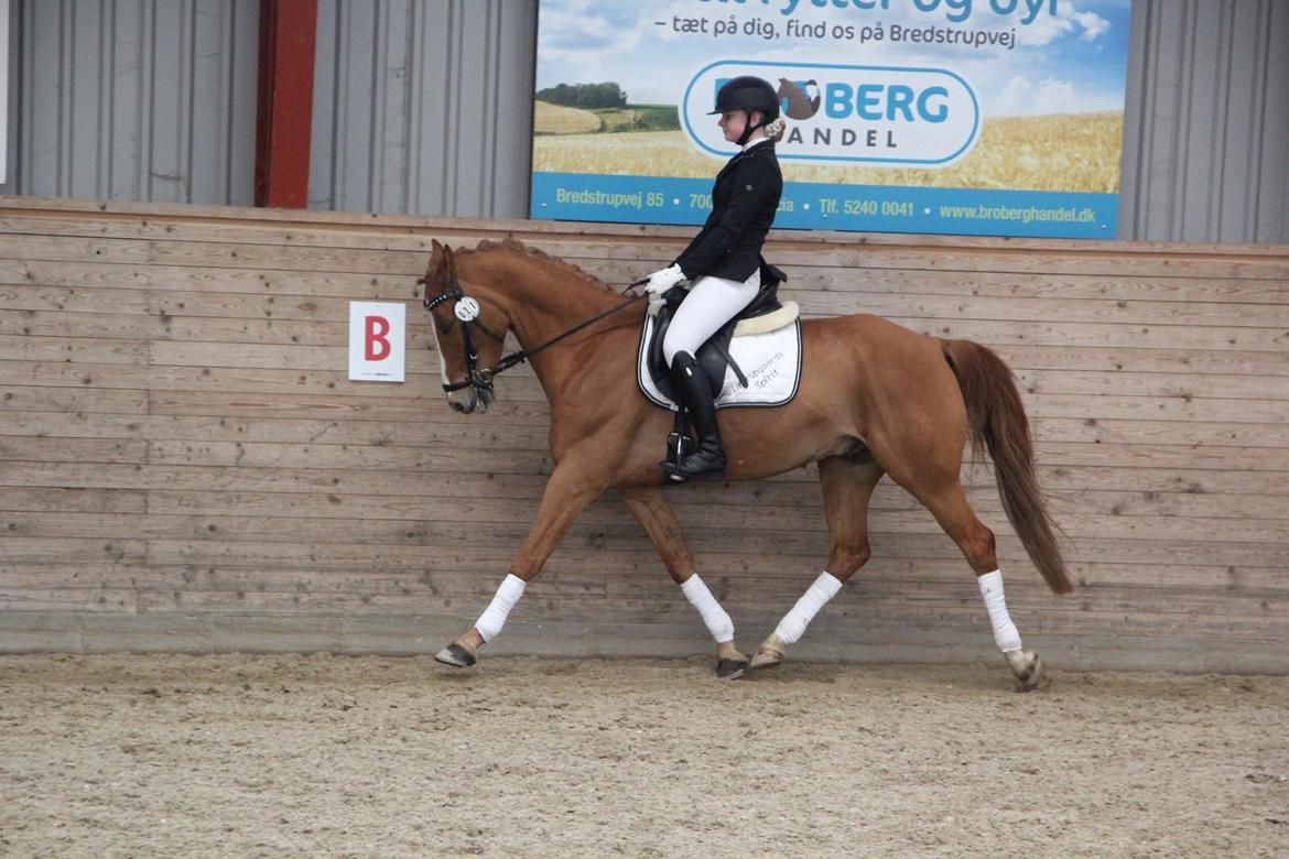 DSP Lintrupgaards spirit - Vi leger lige sandkasse rytter - Her i LC1 som vi blev 3'er i med 69,20% billede 4