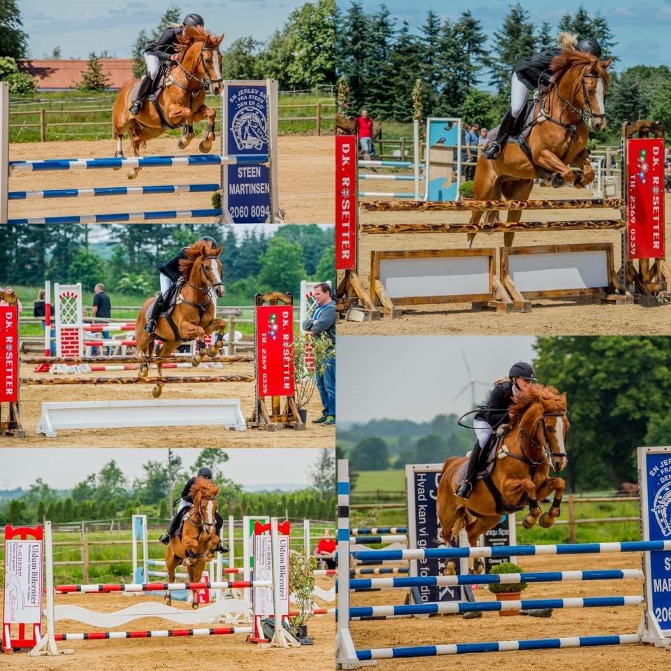 DSP Lintrupgaards spirit - Billede serie fra Boller d. 27.7.15 <3 billede 12