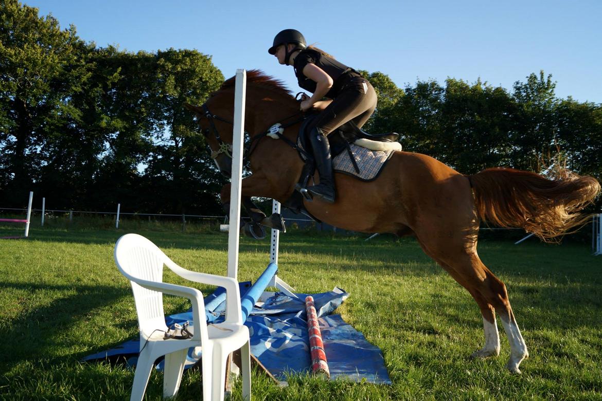 DSP Lintrupgaards spirit - Vandgraven er liiiiidt farlig xD billede 17