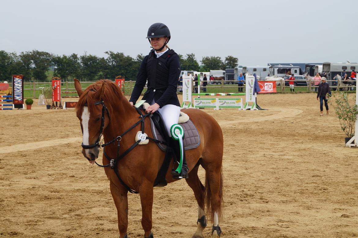 DSP Lintrupgaards spirit - Sidste nulrunde i LA, også enda nr. 3 :)) billede 18