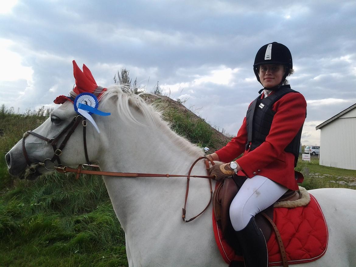 Anden særlig race MR. Mayson - 2. plads i LB* 29/8 2015 billede 10