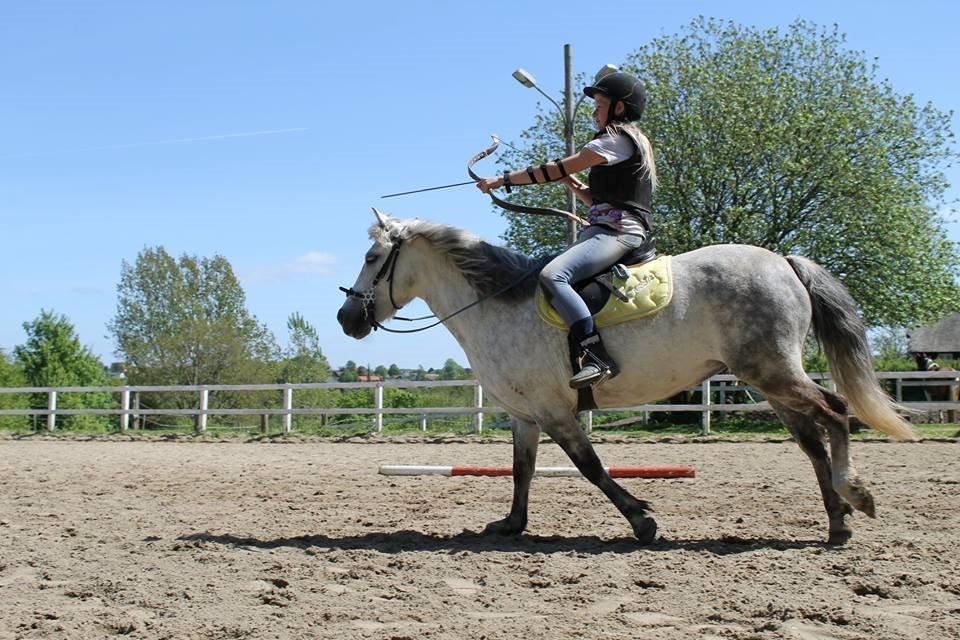 Anden særlig race Shamrocks Cassie - Lig et til billede men min dygtige pony billede 7