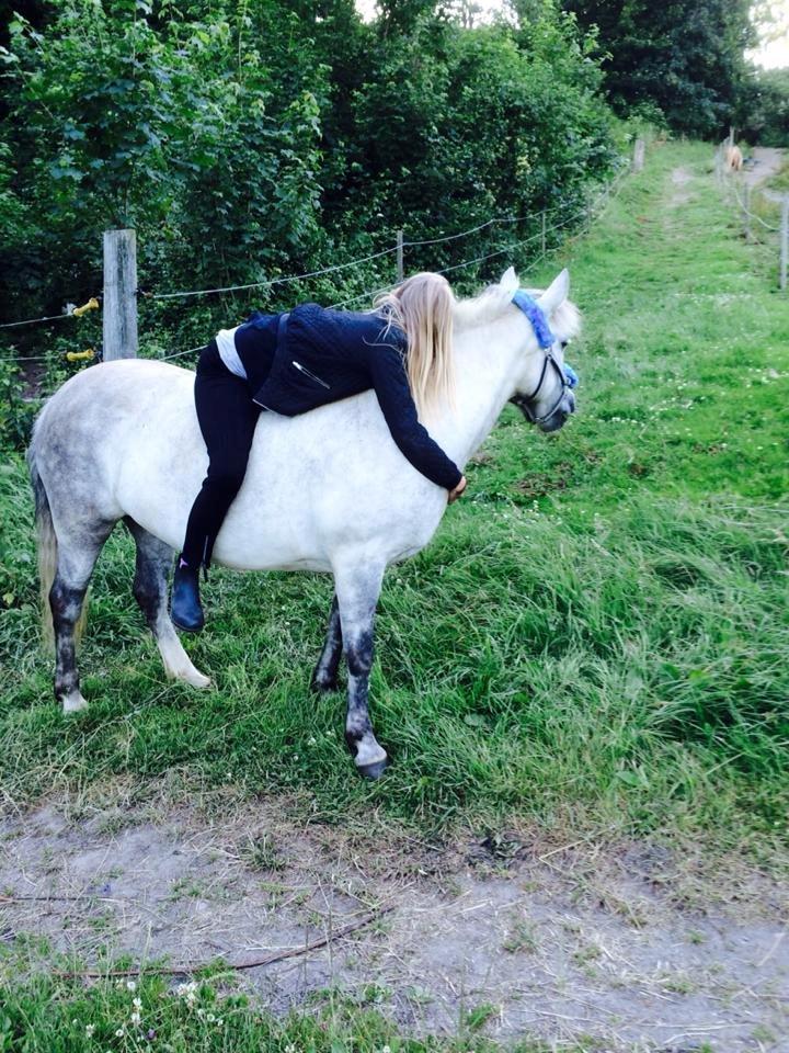Anden særlig race Shamrocks Cassie - mig der siger farvel til hende, da jeg skulle på ferie i 2 uger  billede 8