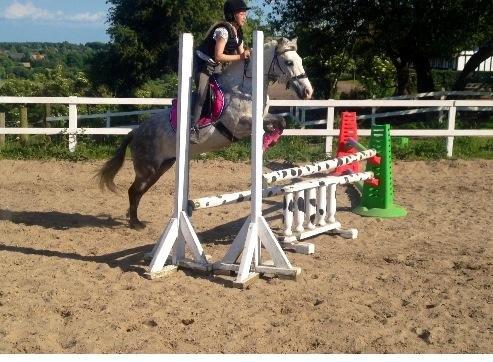 Anden særlig race Shamrocks Cassie - 90 cm billede 13