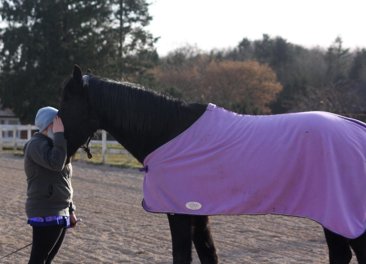 Anden særlig race I Piratus billede 14