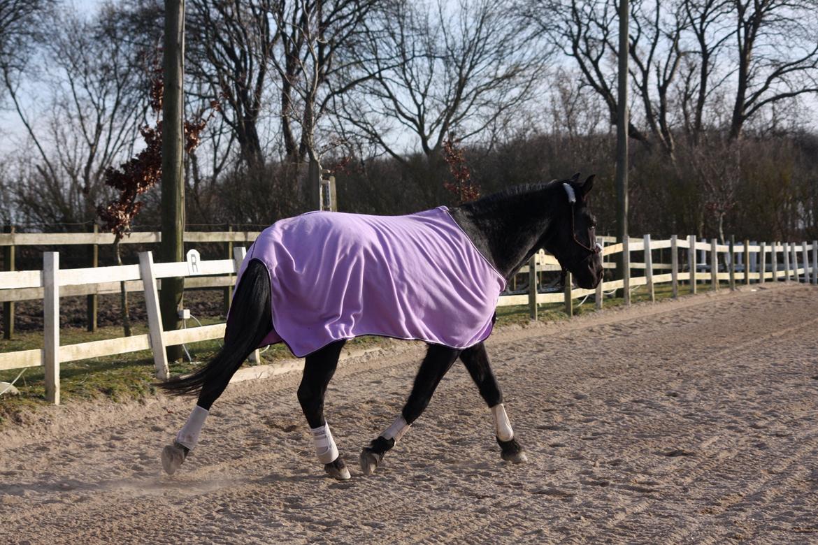 Anden særlig race I Piratus billede 15