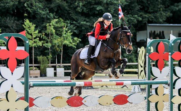 Irsk Sportspony Bessbrook Clover *A-pony* billede 1