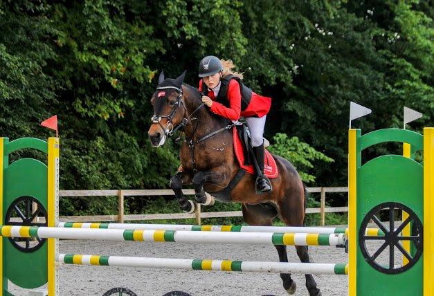 Irsk Sportspony Bessbrook Clover *A-pony* billede 20