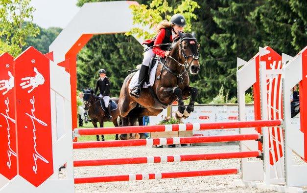 Irsk Sportspony Bessbrook Clover *A-pony* billede 21