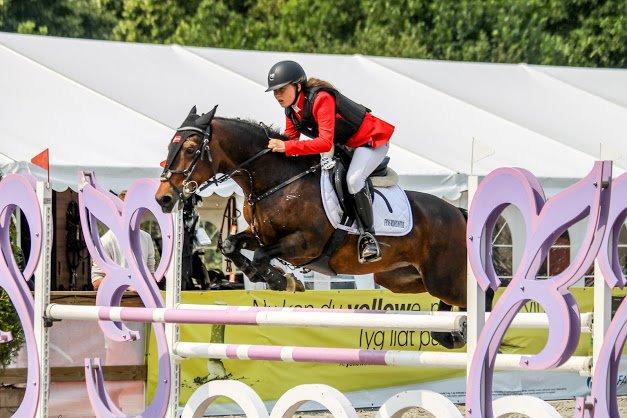 Irsk Sportspony Bessbrook Clover *A-pony* billede 22