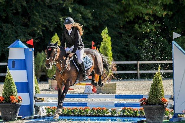 Irsk Sportspony Bessbrook Clover *A-pony* billede 19