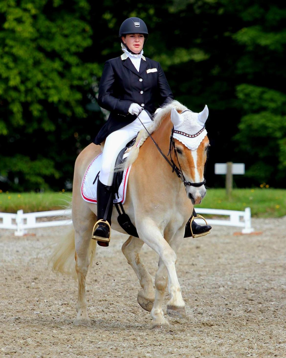 Tyroler Haflinger Elghuset's why not - DM for Haflinger 2015, samlet 4 plads i Dressur for senior <3 billede 1