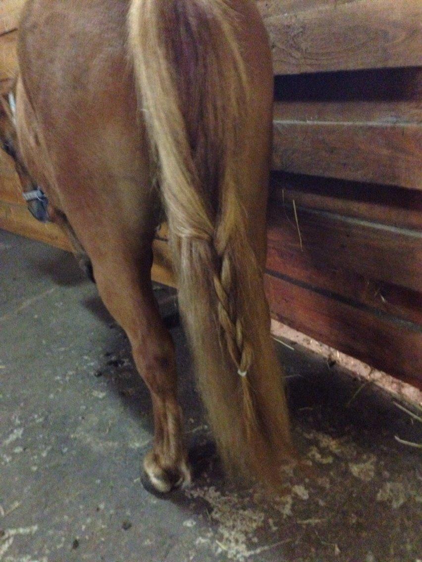 Miniature Fiona billede 20