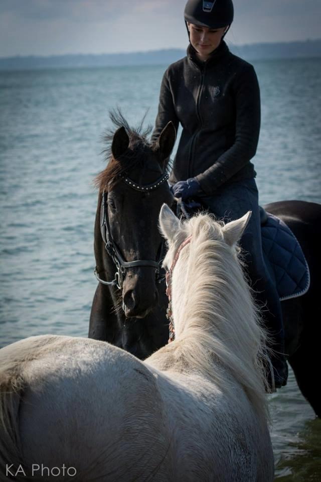 Anden særlig race Melissa ¤Min pige¤ - Mine skønne piger! <3 Foto: KA Photo billede 12