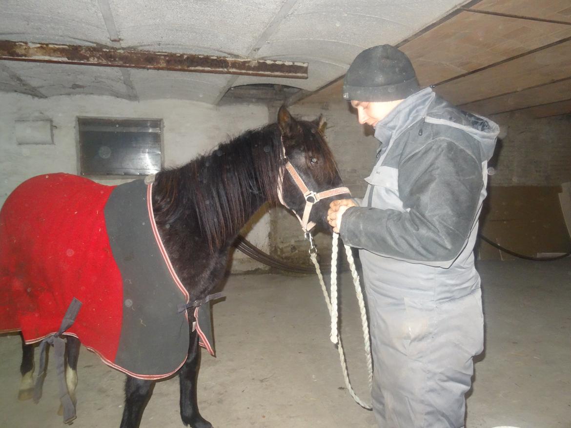 DSP Anto's La Diva billede 4