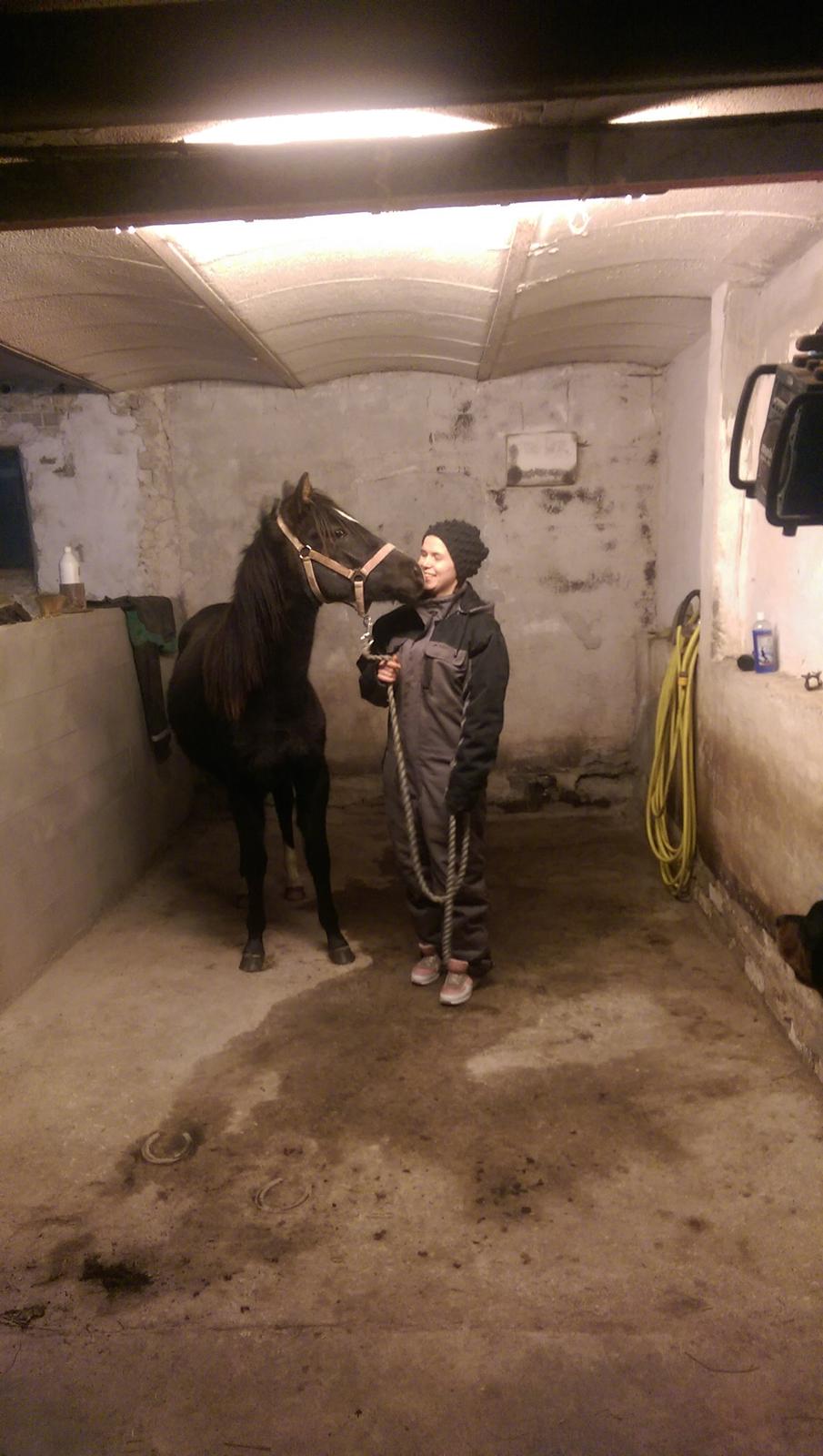 DSP Anto's La Diva billede 5