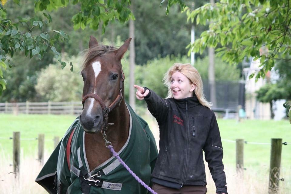 New Forest Adian  billede 16