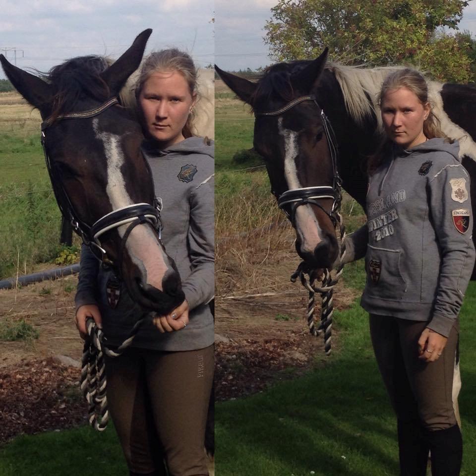 Pinto Rubins Dimarni billede 10